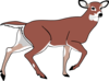 Brown Walking Deer Clip Art